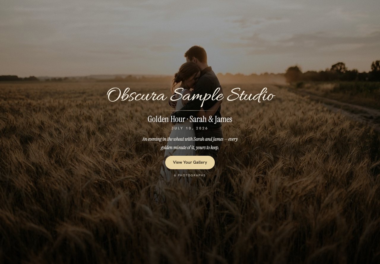 A delivered client gallery cover — studio brand mark, session title and welcome note over the hero photograph